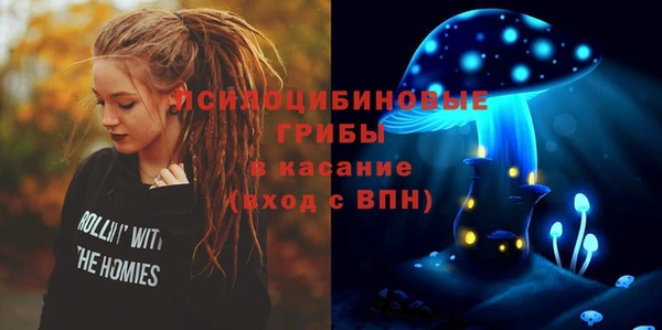 гашик Гусев