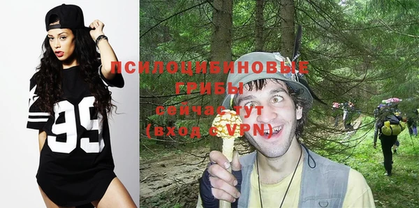 гашик Гусиноозёрск