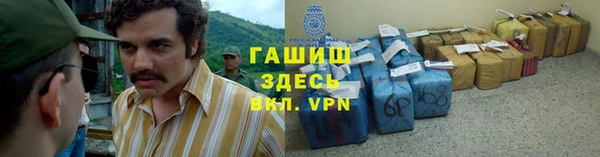 гашик Гусев