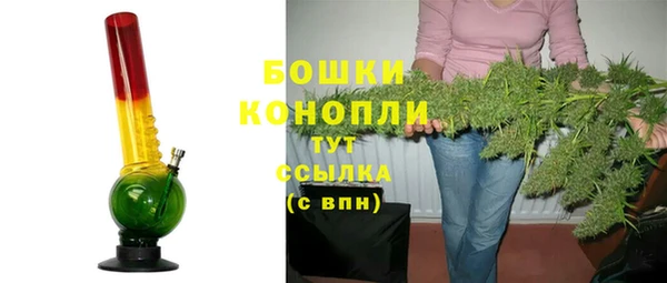 дживик Гусь-Хрустальный