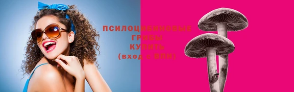 гашик Гусиноозёрск