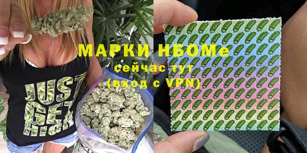 гашик Гусев