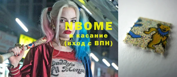 гашик Гусев