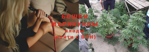 дживик Гусь-Хрустальный